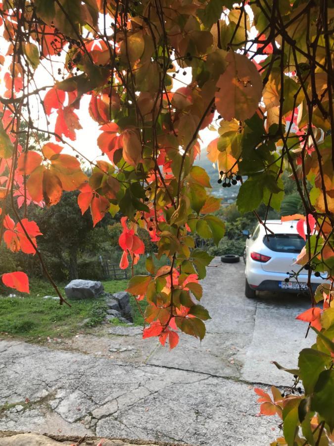 Etno Village Mihailovic II تْشيرسيك نوفي المظهر الخارجي الصورة